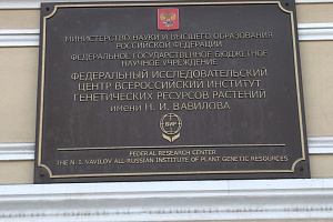 Защита и развитие: ВИР запускает программу генетической паспортизации растений Защита и развитие: ВИР запускает программу генетической паспортизации растений